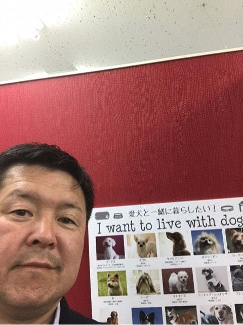 外壁塗装の塗り終わり、確認ヨシ‼