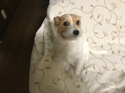 年の瀬って、ふっと一年を振り返っちゃいますねぇ〜〜