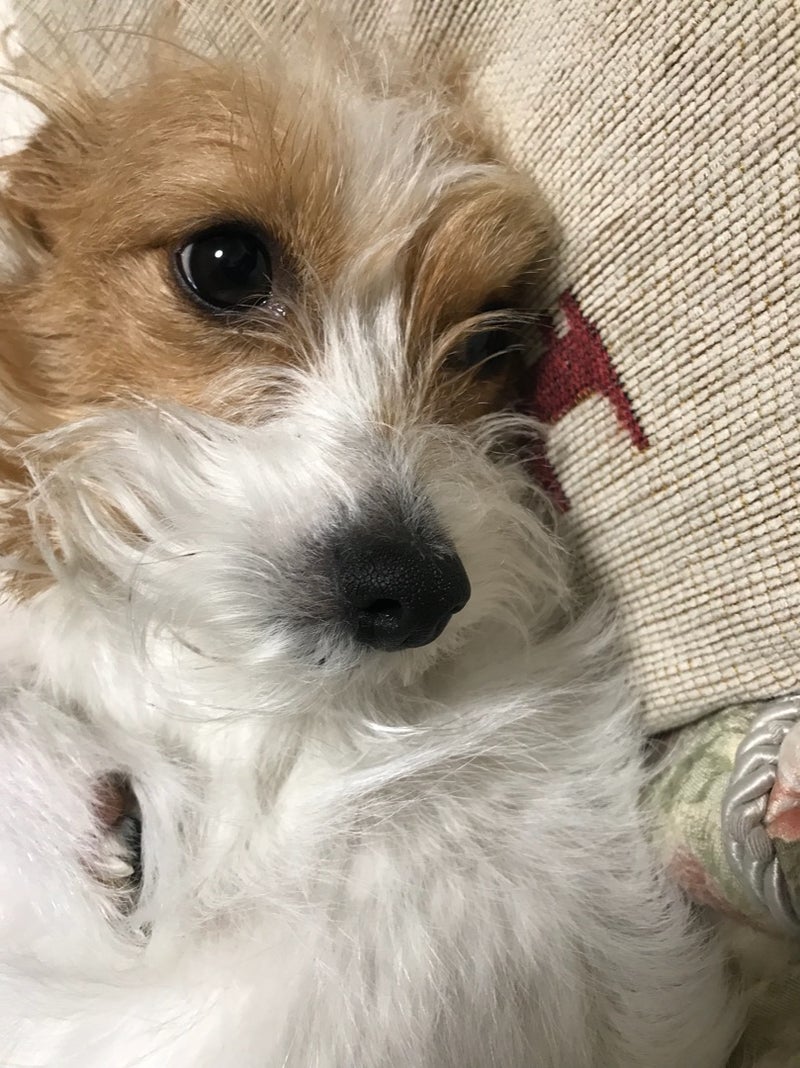 今月は整理整頓と掃除に取り組みます‼