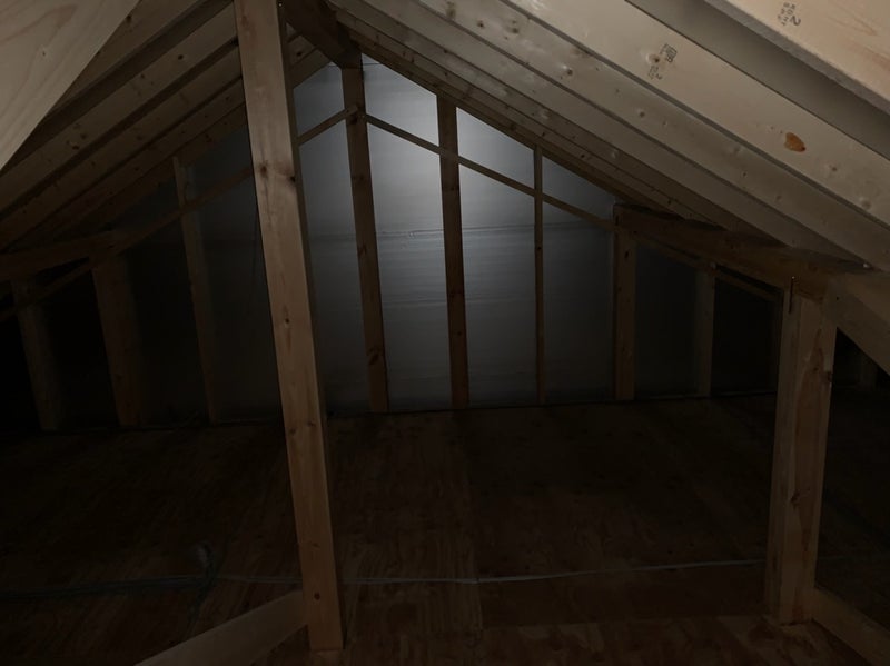 小屋裏に登ってみました。