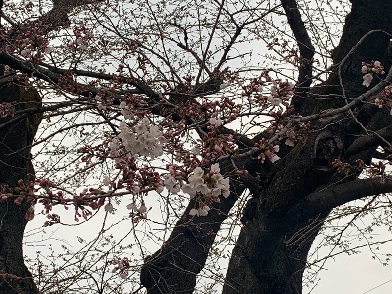 土地探しは金曜日がいい？