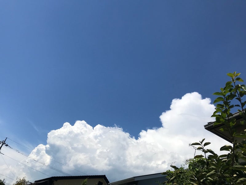 この暑さの中で職人さんは黙々と作業‼