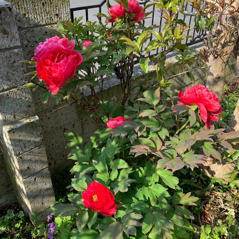 明日から連休‼いつもと違う周りの状況