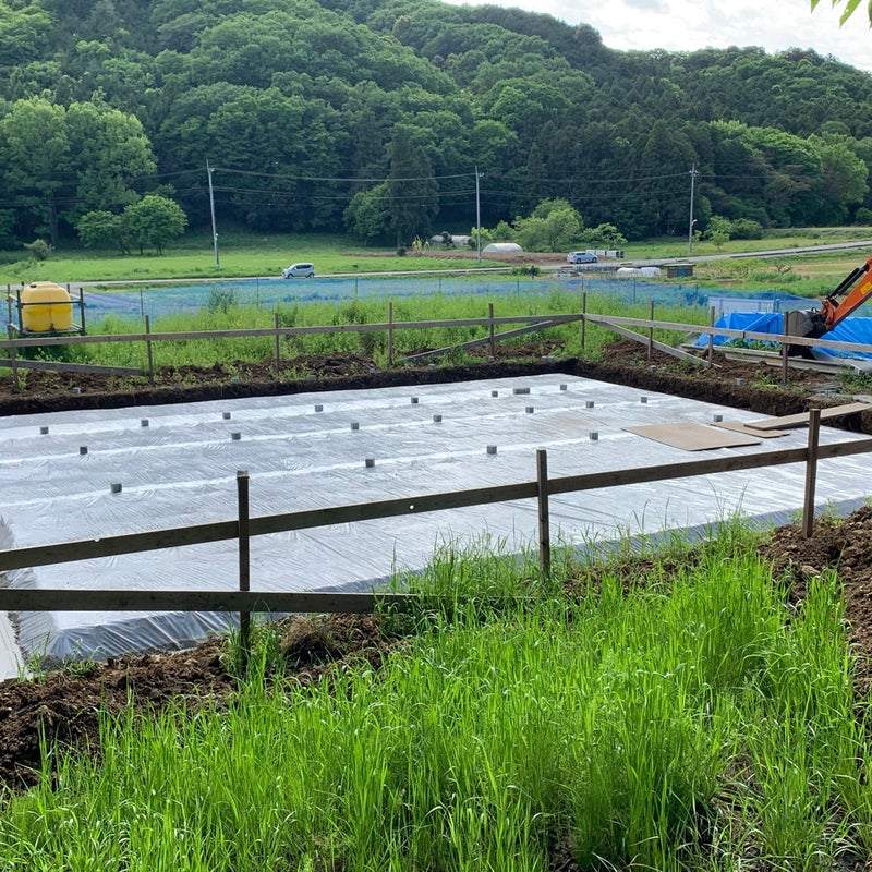 ファミリークロークは人気ですねー‼