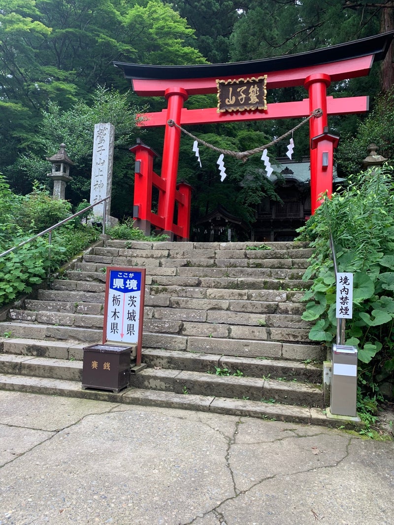 それが探求心なんでしょうねー‼