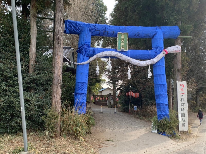 30点ぐらいかもしれません⁉