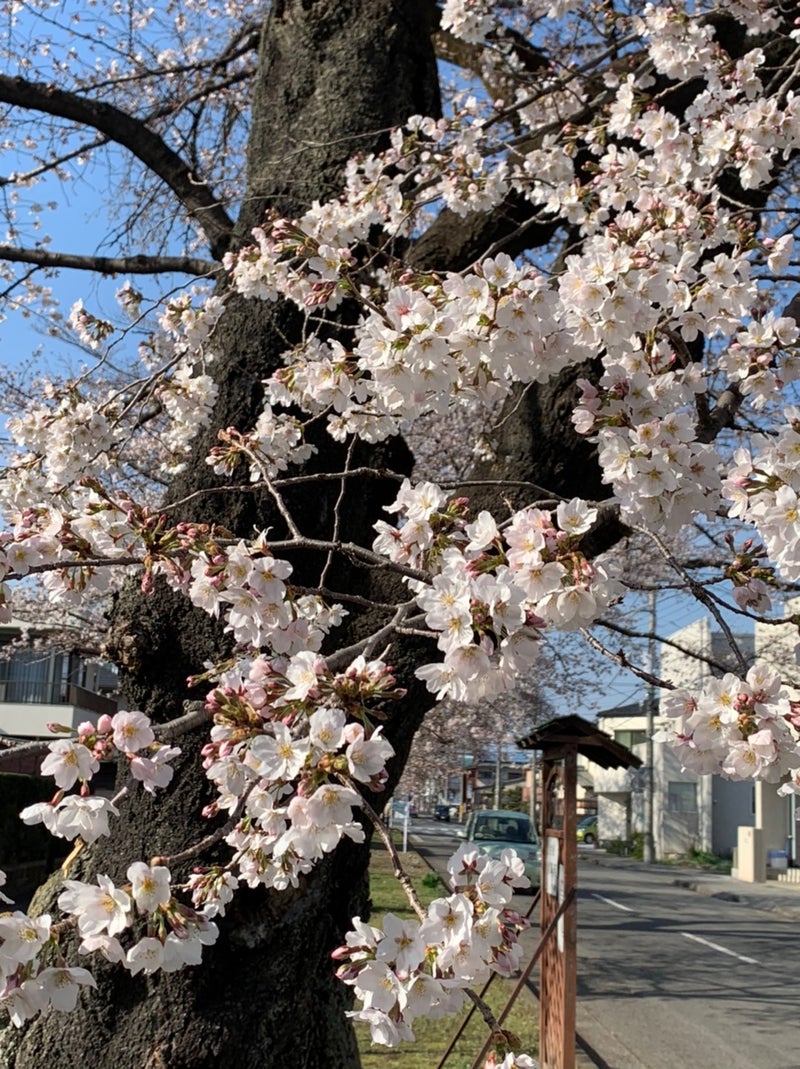まずは、一安心でした‼