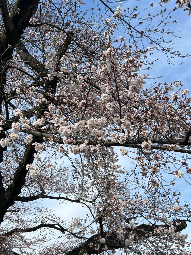 モデルハウスが出来上がって参りました！