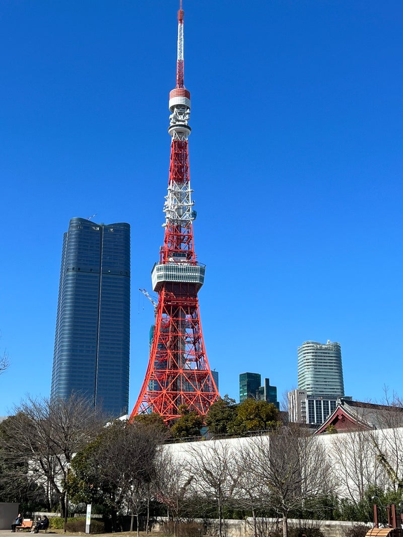 突然の出来事が続きました⁉