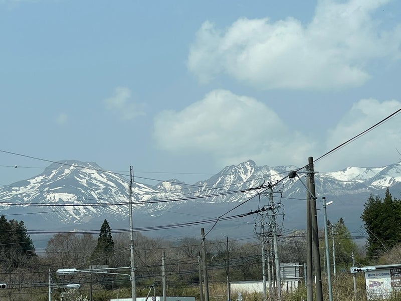 1日限定のお披露目会を開催します！